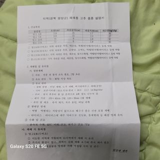 정찬영님의 고추 · 영농일지 작성글 사진