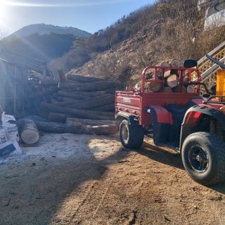 가로수님의 기타작물 · 영농일지 작성글 사진