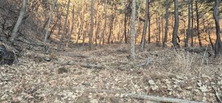 정진필님의 기타작물 · 영농일지 작성글 사진