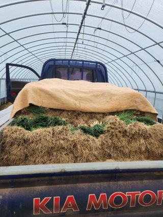 김저팔계님의 파 · 영농일지 작성글 사진