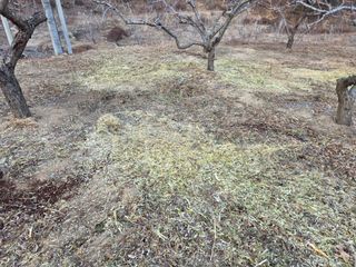 콩7431(팔공산)님의 기타작물 · 영농일지 작성글 사진