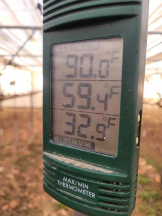 4799님의 포도 · 영농일지 작성글 사진