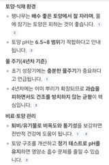 팜모닝 기타작물·영농일지 게시글 이미지