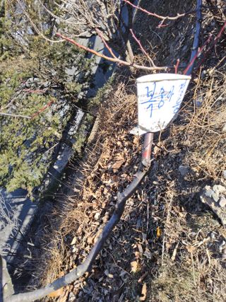 김용대님의 복숭아 · 영농일지 작성글 사진