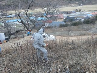 김명자님의 작성글 사진