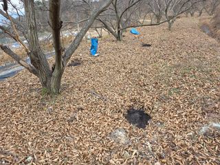 열정님의 기타작물 · 영농일지 작성글 사진