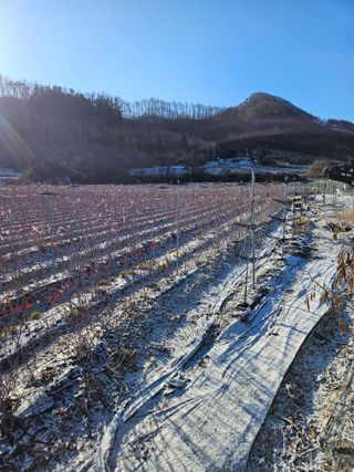 류대균님의 기타작물 · 영농일지 작성글 사진