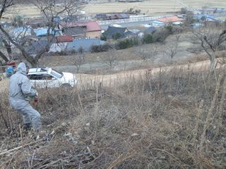 김명자님의 두릅 · 영농일지 작성글 사진