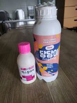 팜모닝 딸기·영농일지 게시글 이미지