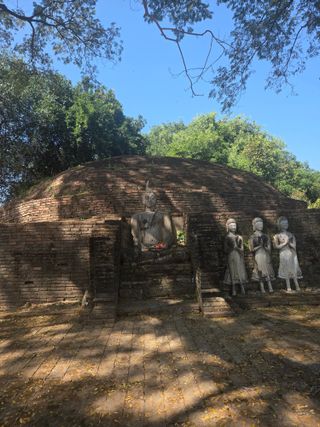 최동수님의 기타작물 · 영농일지 작성글 사진