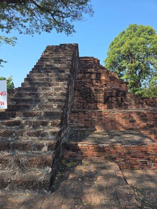 최동수님의 기타작물 · 영농일지 작성글 사진