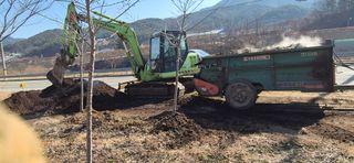 양파13654님의 감자 · 영농일지 작성글 사진