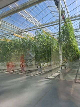 이은혜님의 기타작물 · 영농일지 작성글 사진