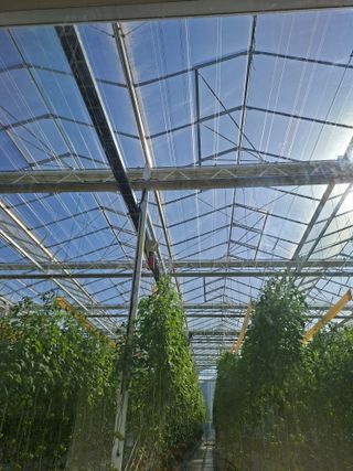 이은혜님의 기타작물 · 영농일지 작성글 사진