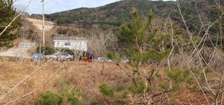 반성식님의 기타작물 · 영농일지 작성글 사진