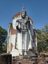 팜모닝 기타작물·영농일지 게시글 이미지