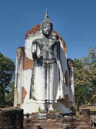 최동수님의 기타작물 · 영농일지 작성글 사진