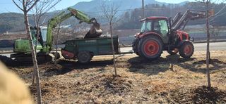 양파13654님의 감자 · 영농일지 작성글 사진