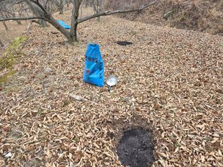 열정님의 기타작물 · 영농일지 작성글 사진