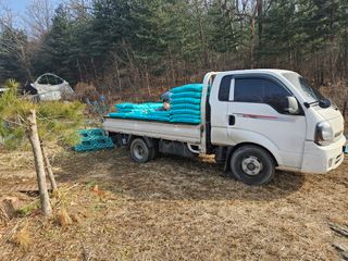 원감사님의 기타작물 · 영농일지 작성글 사진