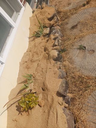 신 난다님의 기타작물 · 영농일지 작성글 사진