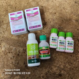 김성훈님의 기타작물 · 영농일지 작성글 사진