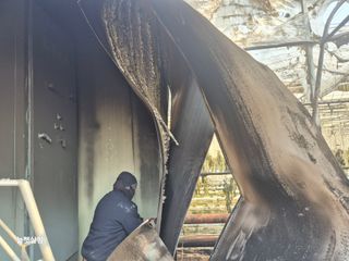 늘햇살팜 님의 기타작물 · 영농일지 작성글 사진