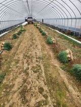 김저팔계님의 작성글 사진