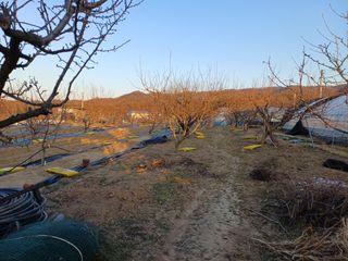 12345우각장당리님의 기타작물 · 영농일지 작성글 사진