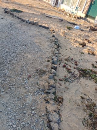 신 난다님의 기타작물 · 영농일지 작성글 사진