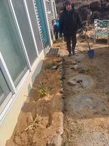 팜모닝 기타작물·영농일지 게시글 이미지