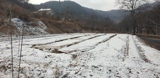 정천복님의 기타작물 · 영농일지 작성글 사진