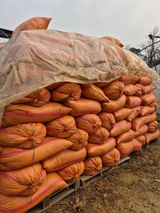 팜모닝 기타작물·영농일지 게시글 이미지