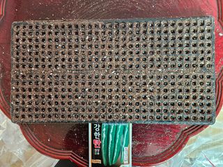 전봉우(채미농원)님의 고추 · 영농일지 작성글 사진