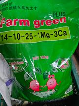 팜모닝 딸기·영농일지 게시글 이미지