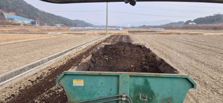 양파13654님의 감자 · 영농일지 작성글 사진