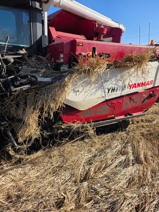 아하론님의 벼 · 영농일지 작성글 사진