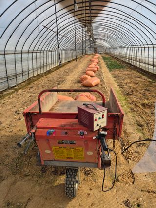 농민님의 상추 · 영농일지 작성글 사진