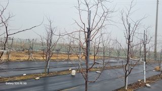 조상연님의 기타작물 · 영농일지 작성글 사진