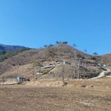 가로수님의 작성글 사진