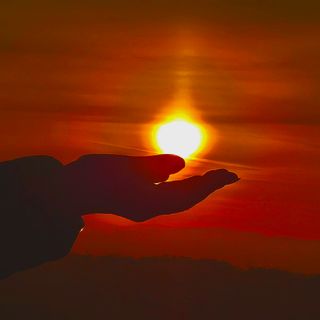 대파12454님의 기타작물 · 영농일지 작성글 사진