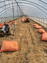 농민님의 작성글 사진