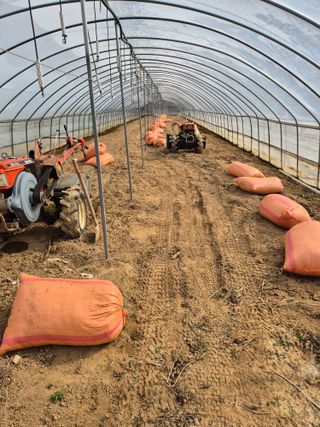 농민님의 상추 · 영농일지 작성글 사진