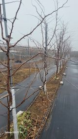 팜모닝 기타작물·영농일지 게시글 이미지