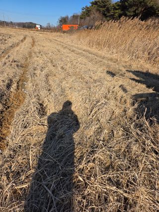 아하론님의 벼 · 영농일지 작성글 사진