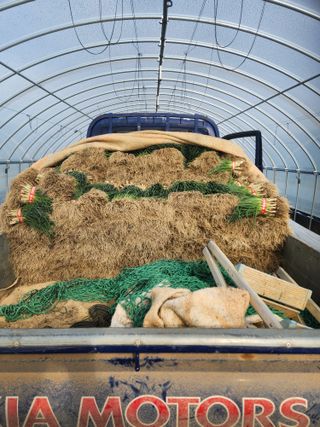 김저팔계님의 파 · 영농일지 작성글 사진