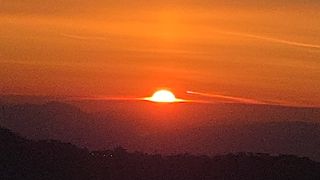 대파12454님의 기타작물 · 영농일지 작성글 사진