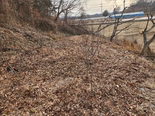 김재현님의 기타작물 · 영농일지 작성글 사진