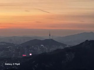 대파12454님의 기타작물 · 영농일지 작성글 사진