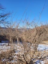 팜모닝 기타작물·영농일지 게시글 이미지